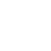 Growth Icon