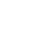 Trust Icon