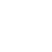 Belonging Icon